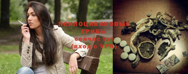 mdma Пересвет