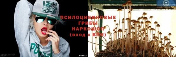 spice Переславль-Залесский