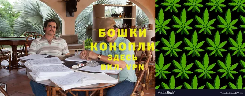 Бошки Шишки THC 21%  Кировград 